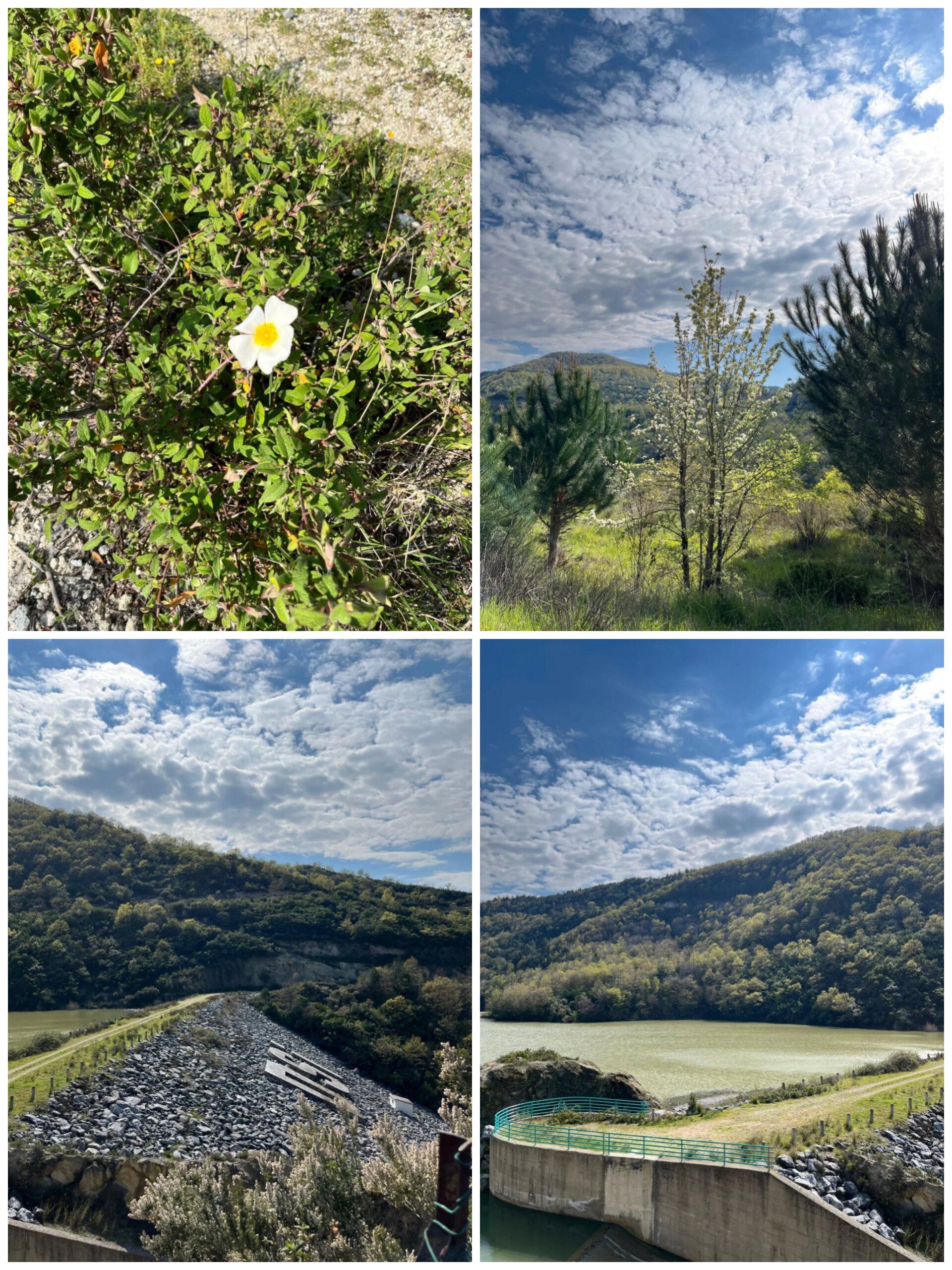 In Shot 20260413 114617993