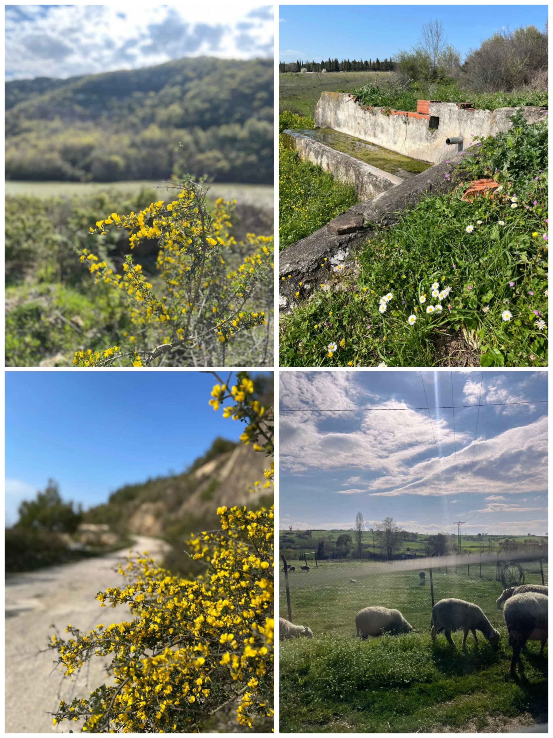 In Shot 20260413 114639564