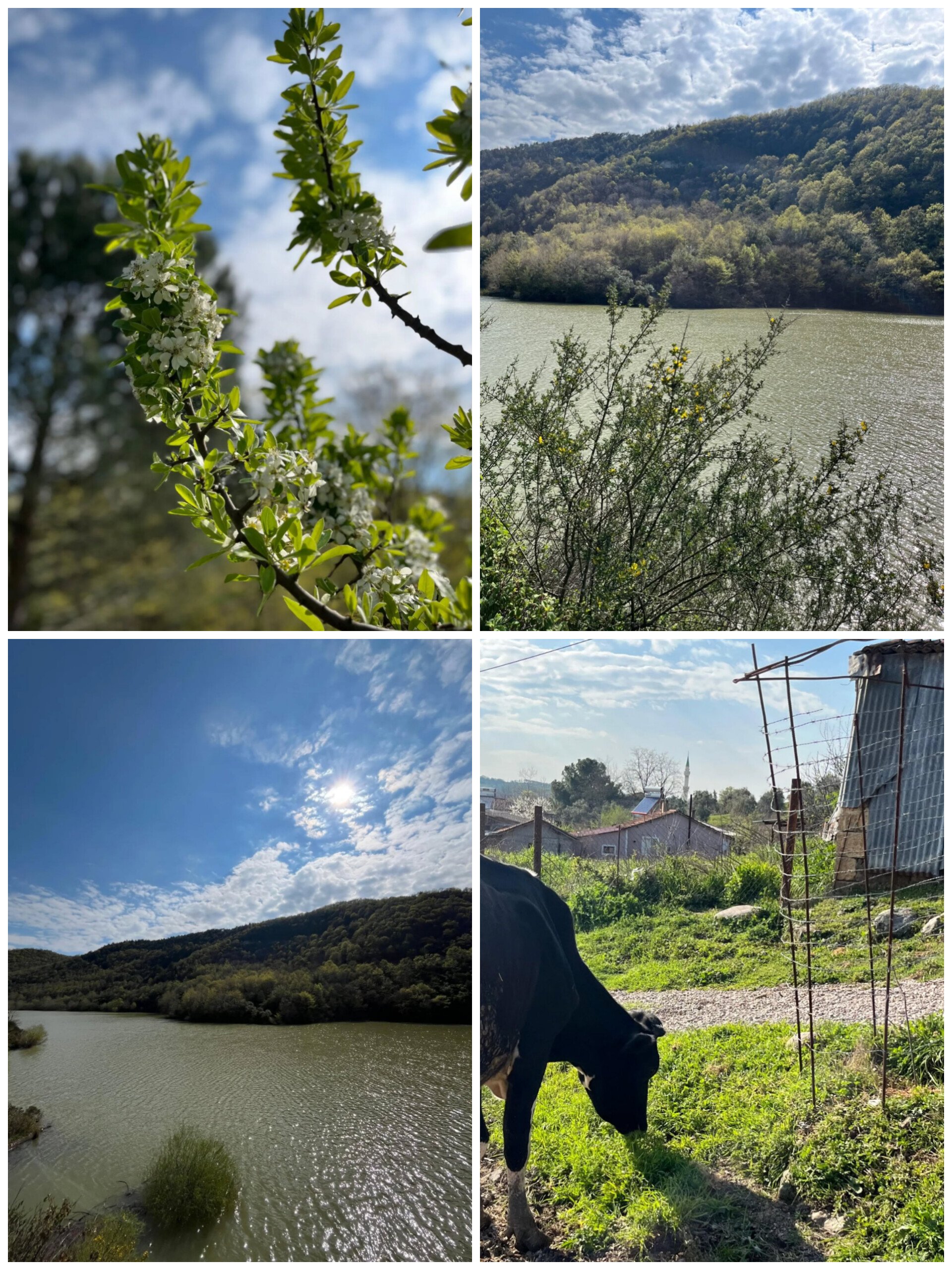 In Shot 20260413 114656779