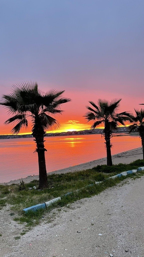 03C098Fe 9651 422E 9175 990E8Efaff30