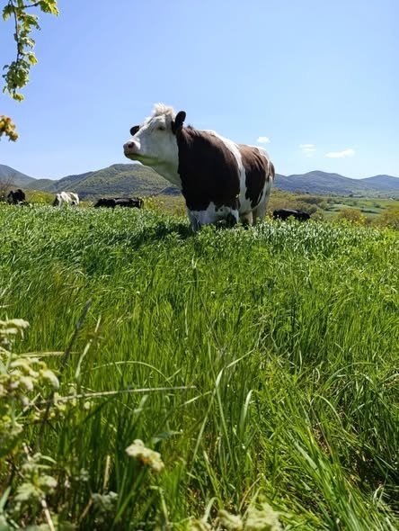 110F7A86 8A3E 469C 99E1 4E52Bd0448E7