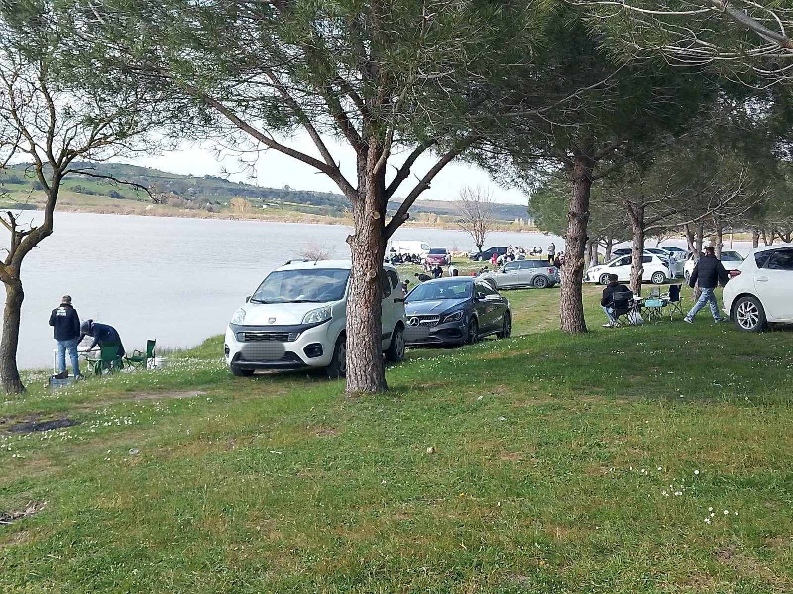 19Ce17Ad 3A30 4550 A47E D01B239648Ae