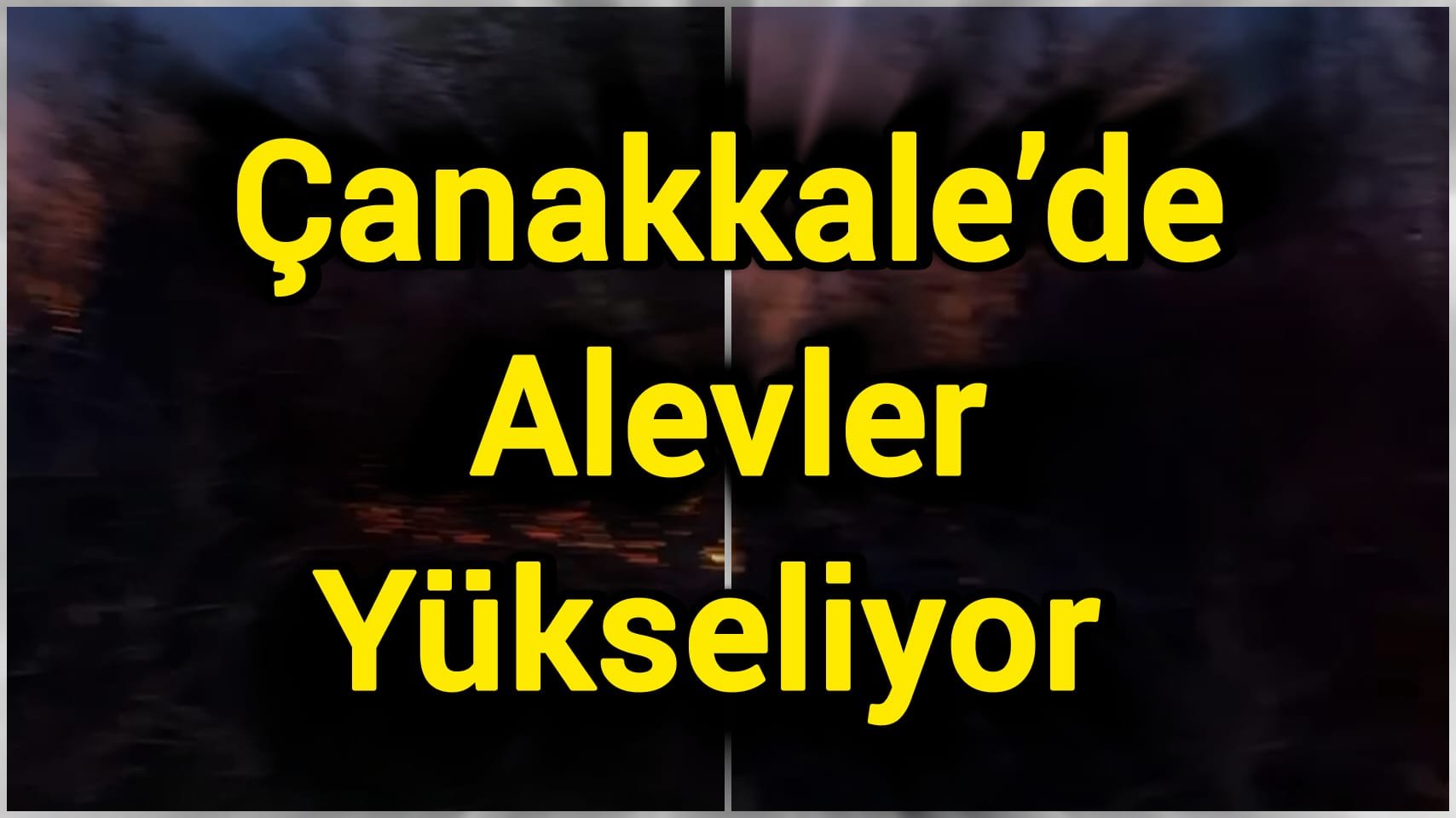 Çanakkale’de ormanlık alanda yangın!