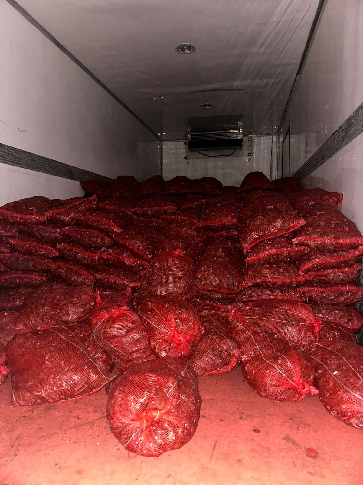 1C5352Fb E1D3 42C9 8E39 9E275340Cbb5