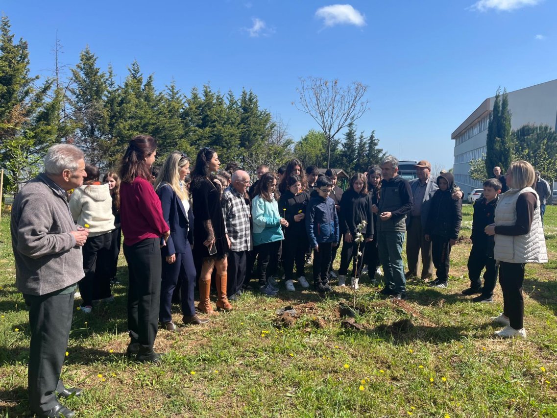 2Cb7Aadc 1761 4688 B8C1 8C93Ea7F7Eb3