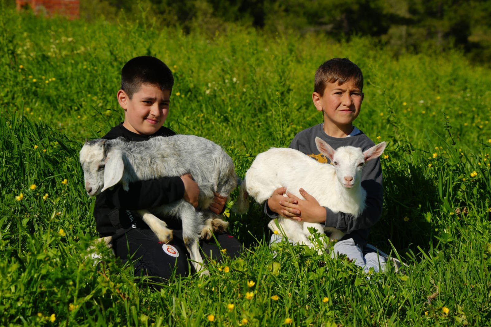 4362D486 7Bae 479A Bc4A Daa35C12515B