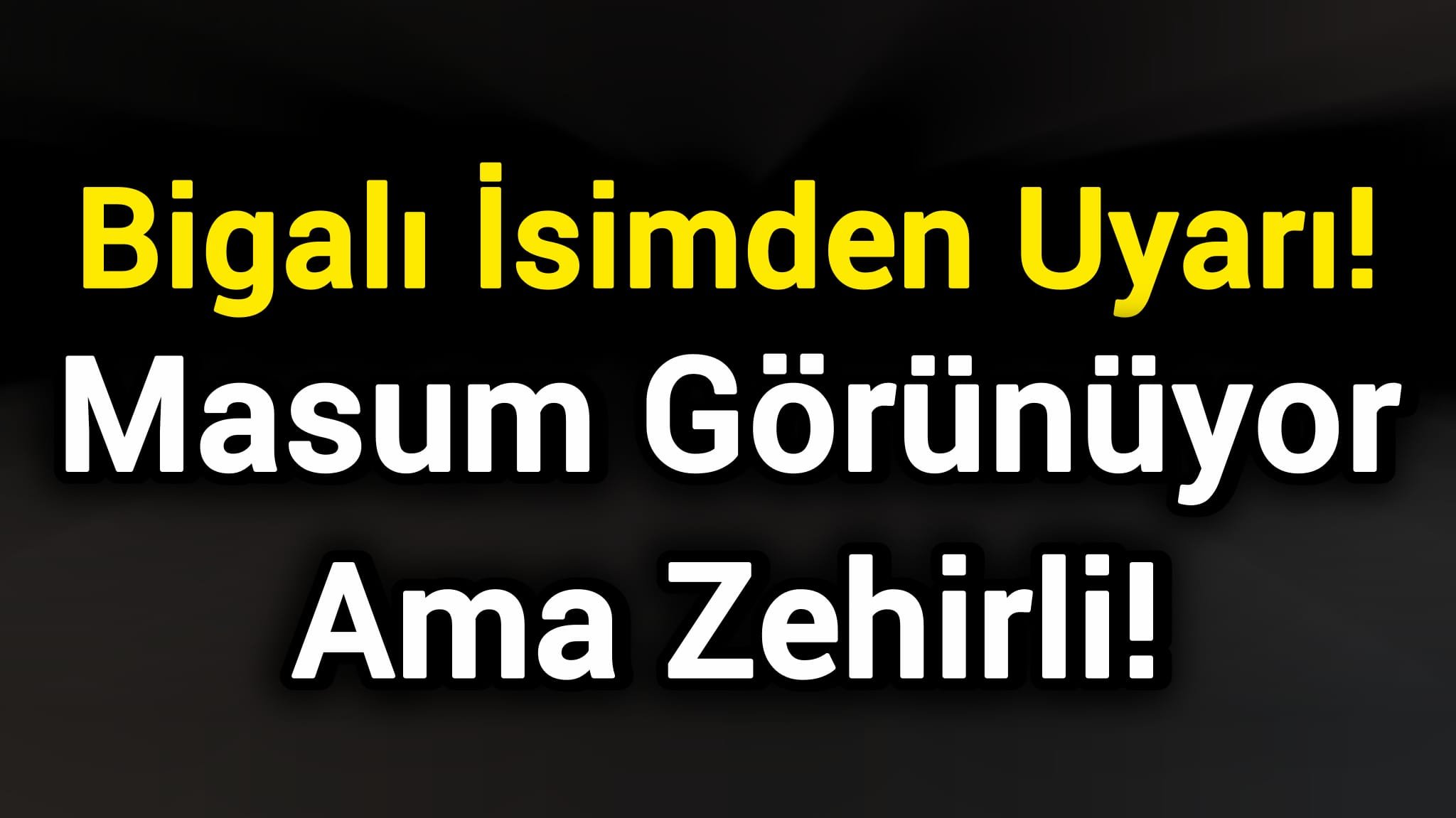 Bigalı İsimden Uyarı: Masum Görünüyor Ama Zehirli!