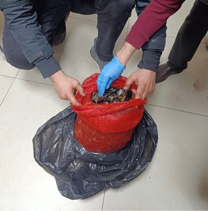 79E20568 8088 4A81 B0F6 B0831E47827F