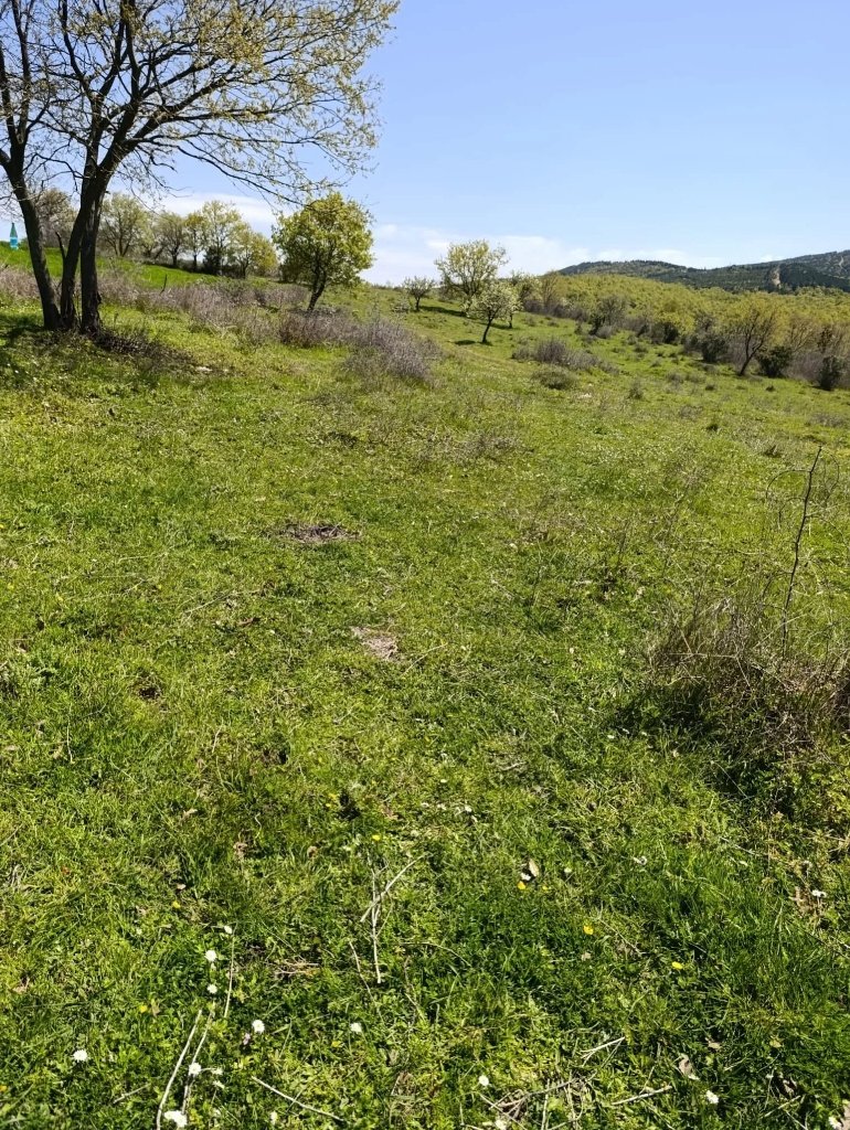 7Ef0B5E2 Ccff 44A8 8477 794440F30099