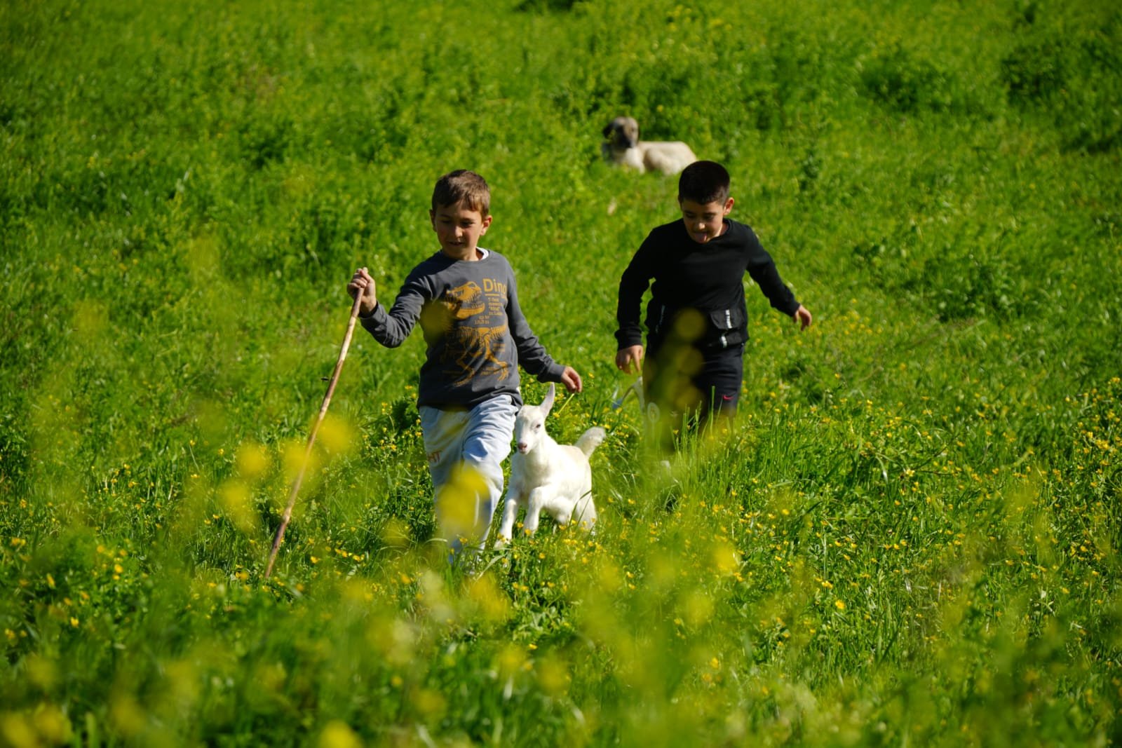 9Ffaa09B 25C3 4484 81D4 1492Cb144038