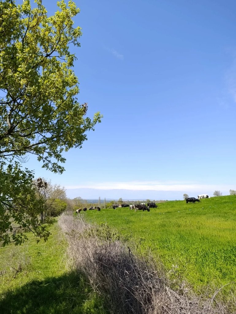 B0F58608 Dd7B 4033 8A6B 9D29359C7Bfa