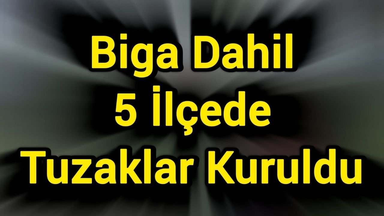 Biga Dahil 5 İlçede Tuzaklar Kuruldu