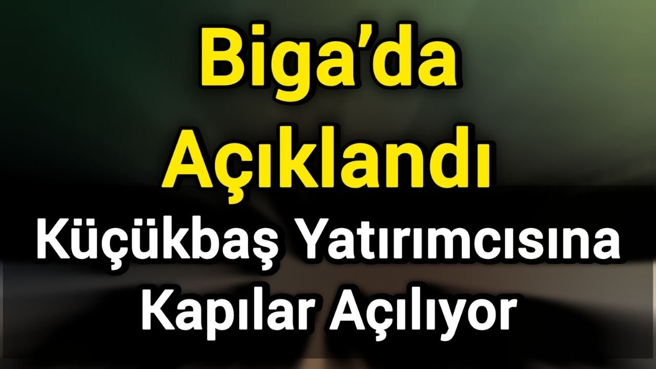 Biga’da Açıklandı: Küçükbaş Yatırımcısına Kapılar Açılıyor