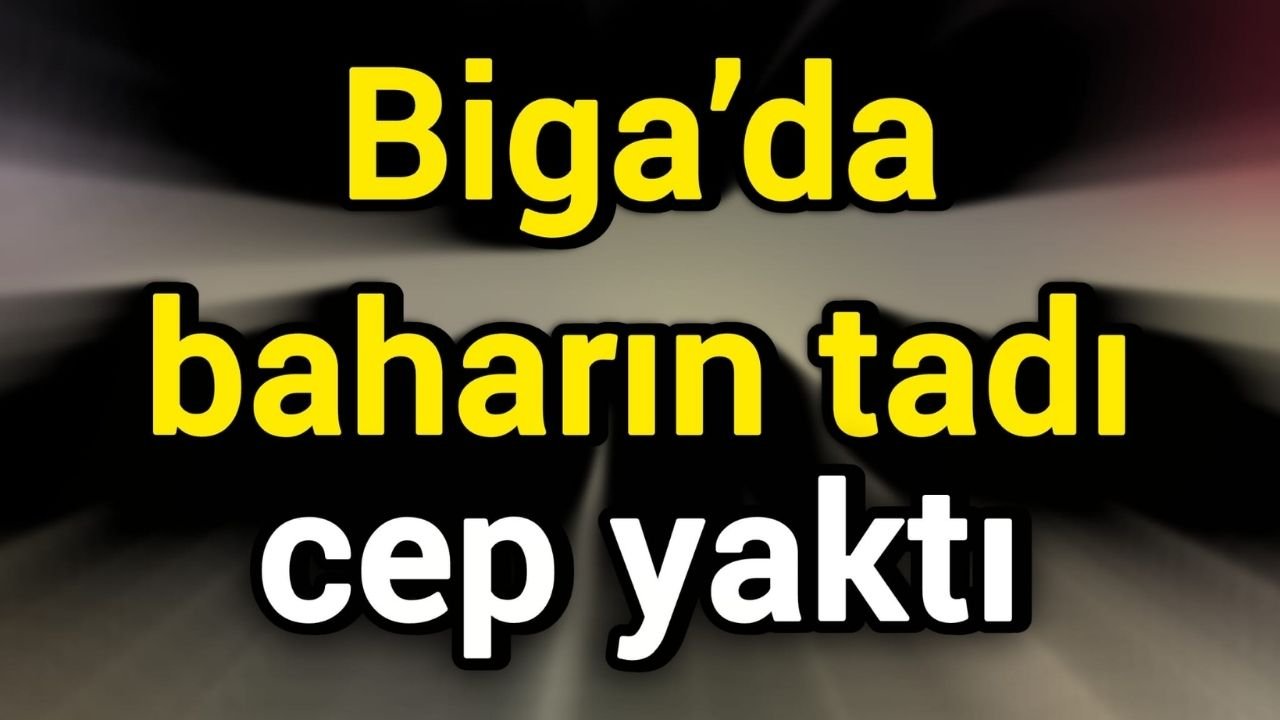 Biga’da baharın tadı cep yaktı!