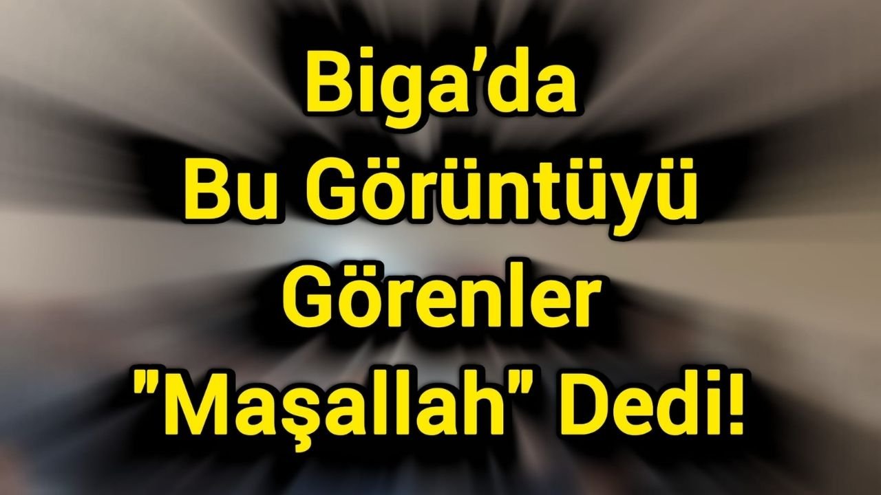 Biga’da Bu Görüntüyü Görenler “Maşallah” Dedi!