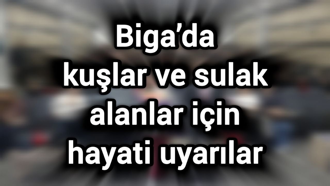 Biga’da kuşlar ve sulak alanlar için hayati uyarılar