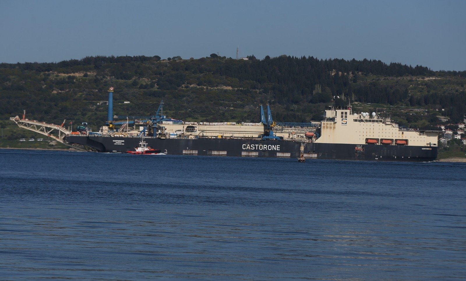 C2A316B3 1Ad5 4D84 840D 874Fff0C25Bd