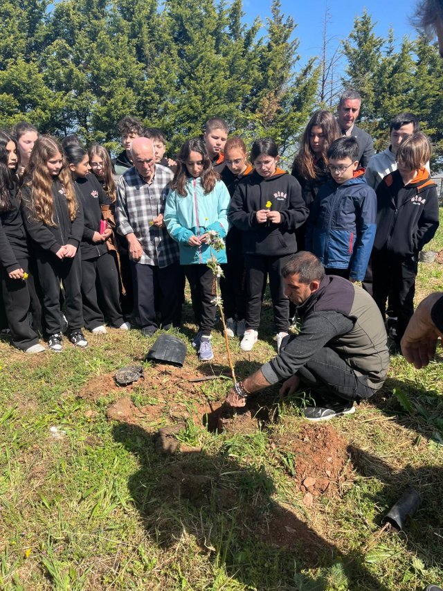 C78655D9 F19B 4156 B7F1 050891Ede97E