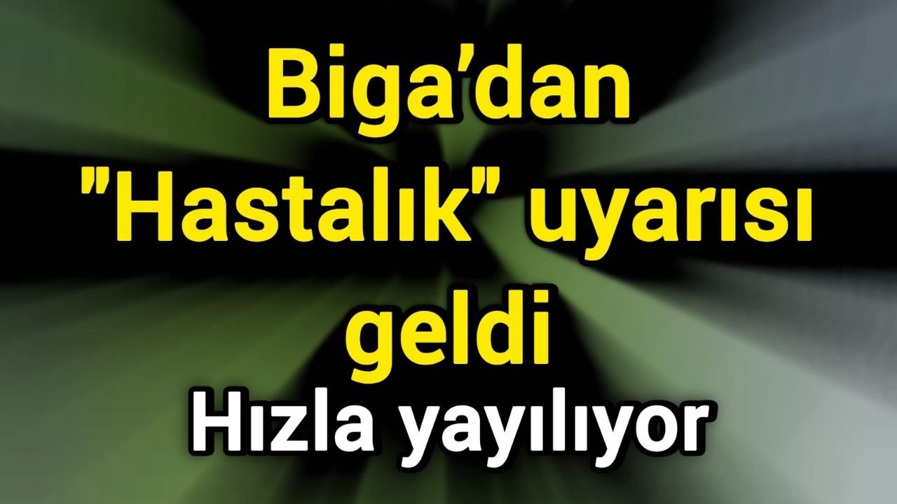 Biga’dan "Hastalık" uyarısı geldi: Hızla yayılıyor