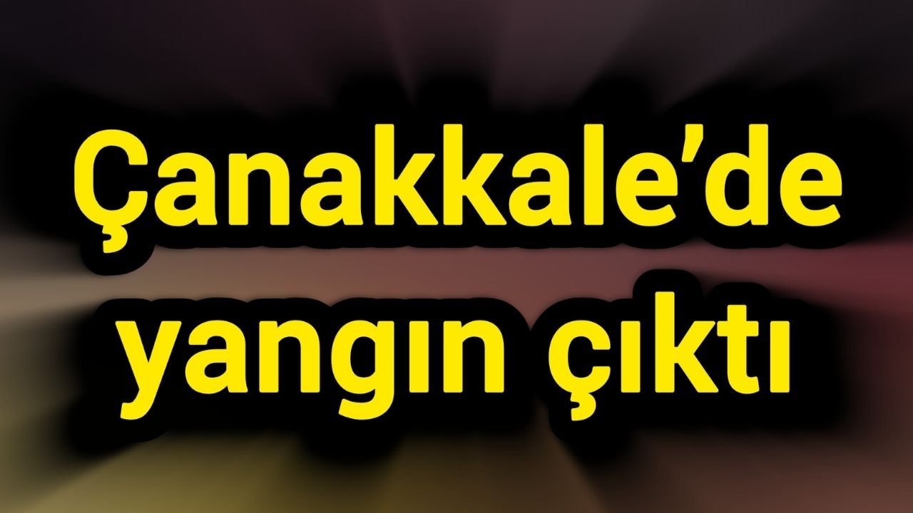Çanakkale’de yangın çıktı