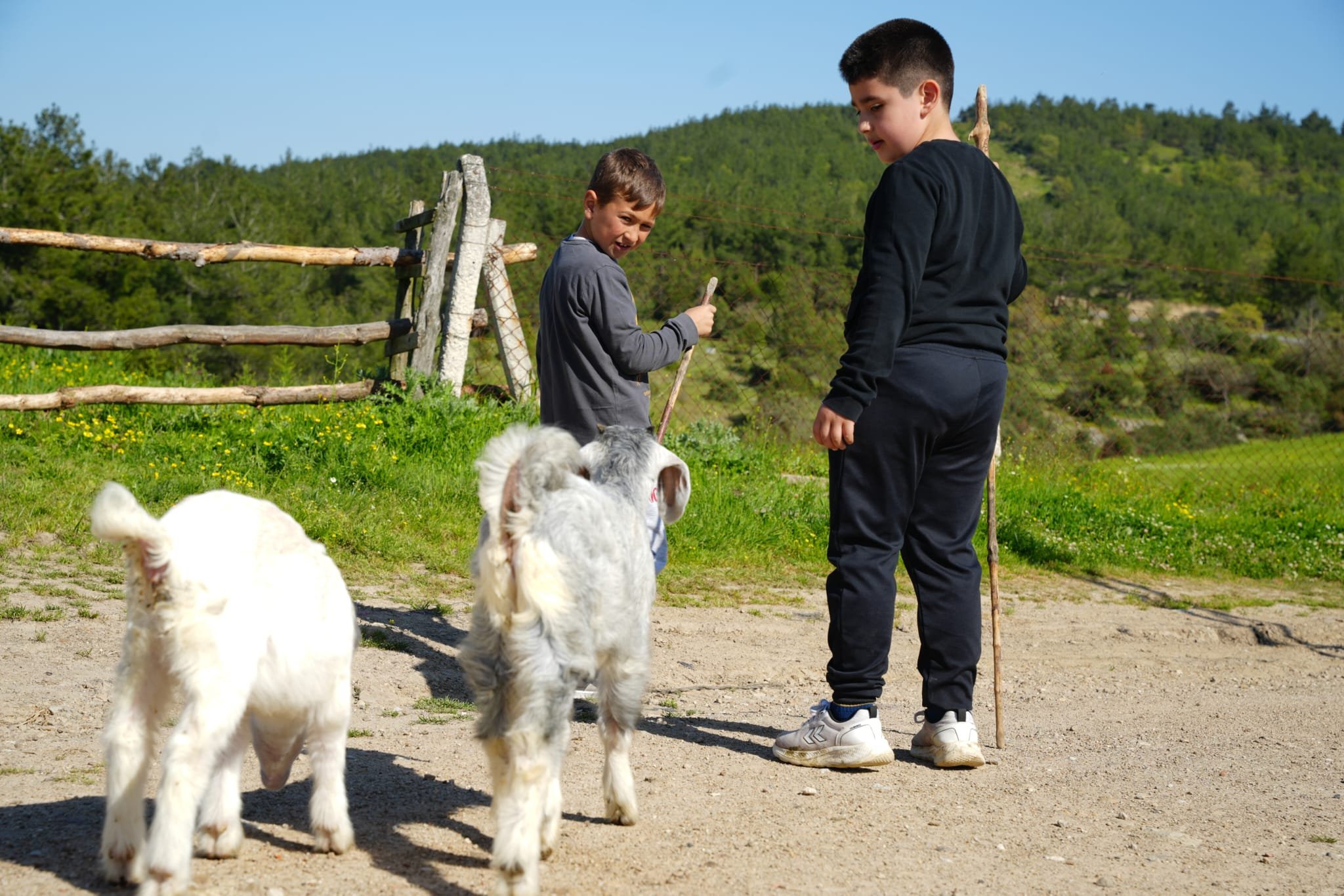 Dc476B96 11C4 40E5 B140 Bd63F569B2B9