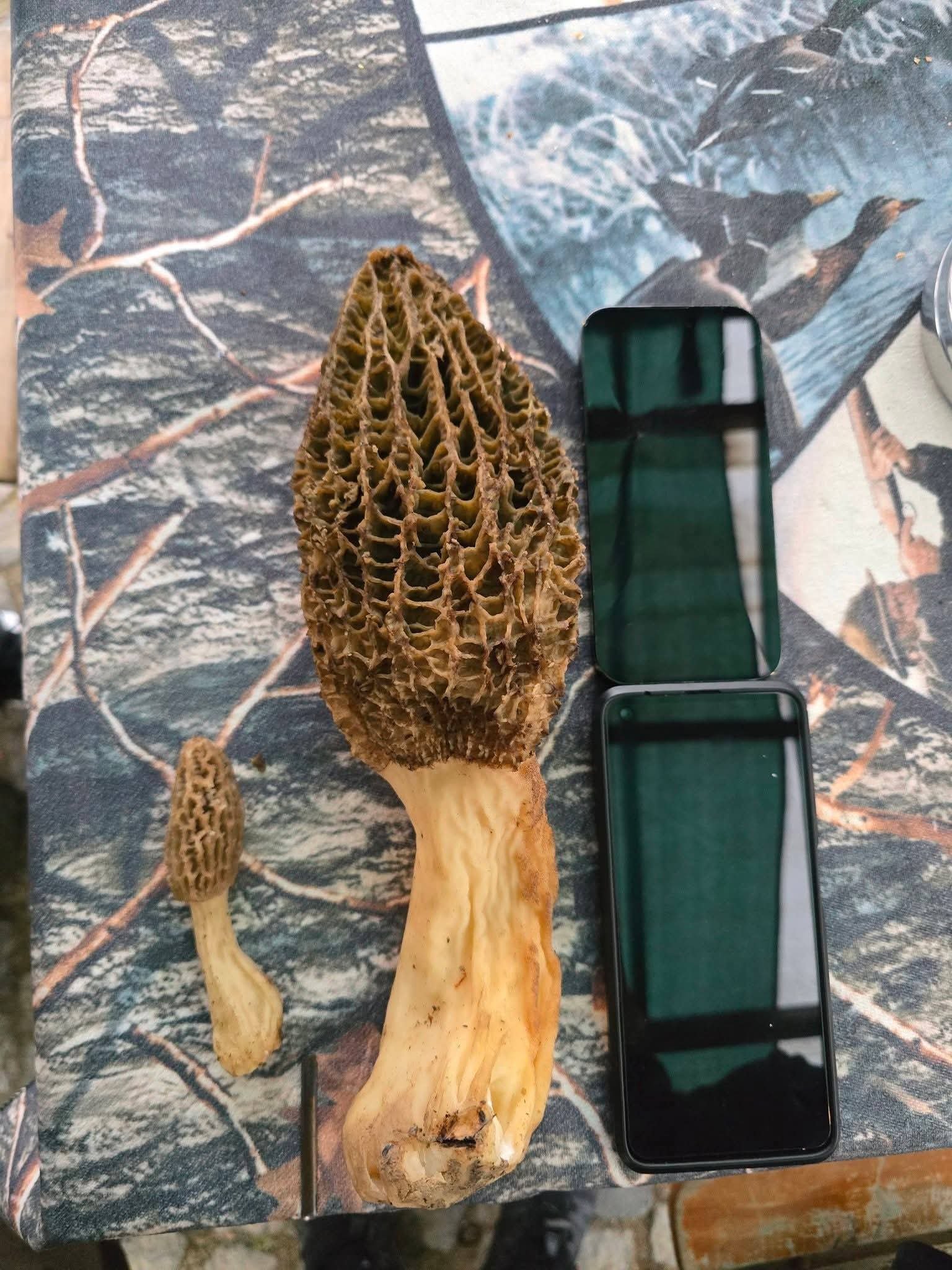 Whatsapp Image 2026 04 04 At 01.23.59 (2)