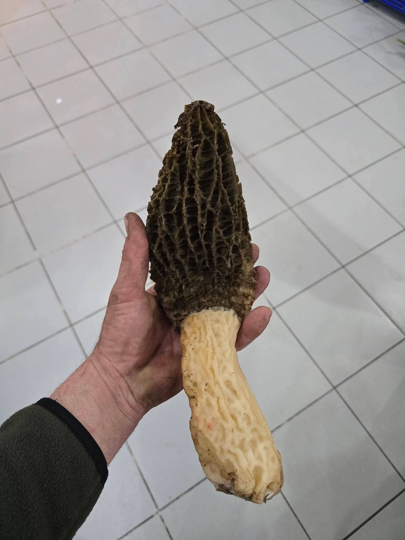 Whatsapp Image 2026 04 04 At 01.23.59