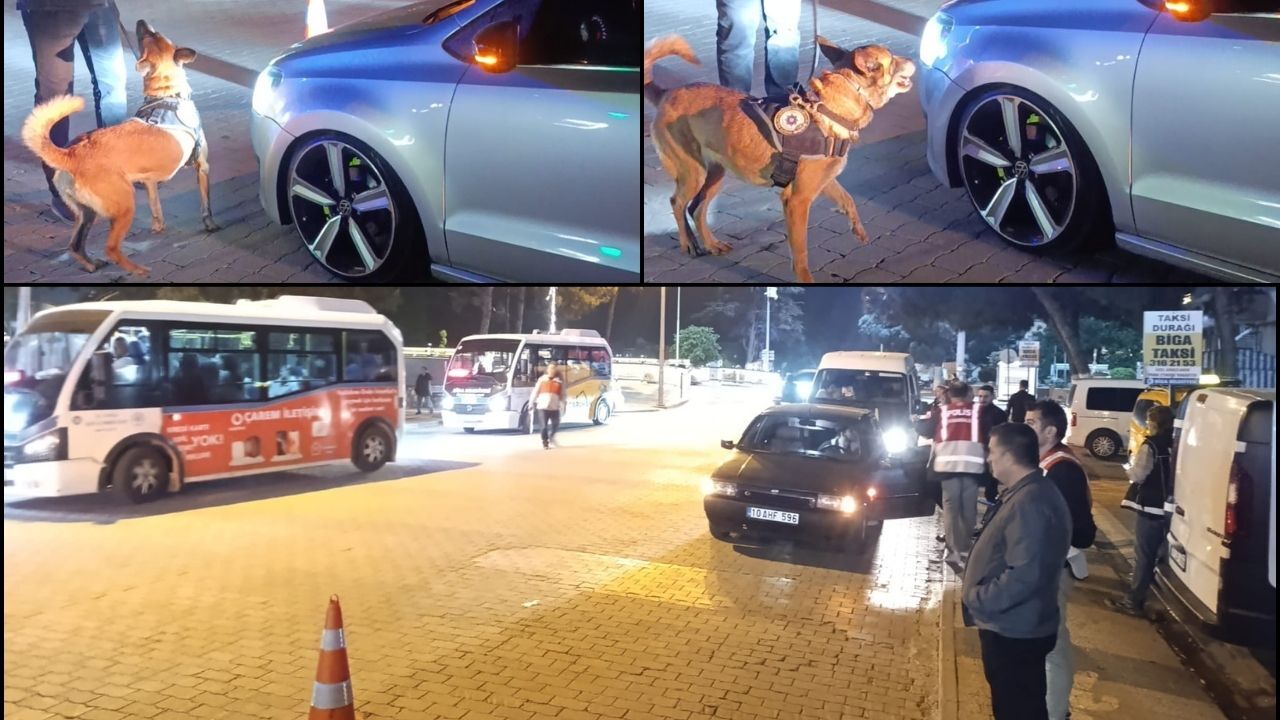 Biga'da Dev Asayiş Operasyonu: Köpeklerle Her Nokta Denetlendi (Video)