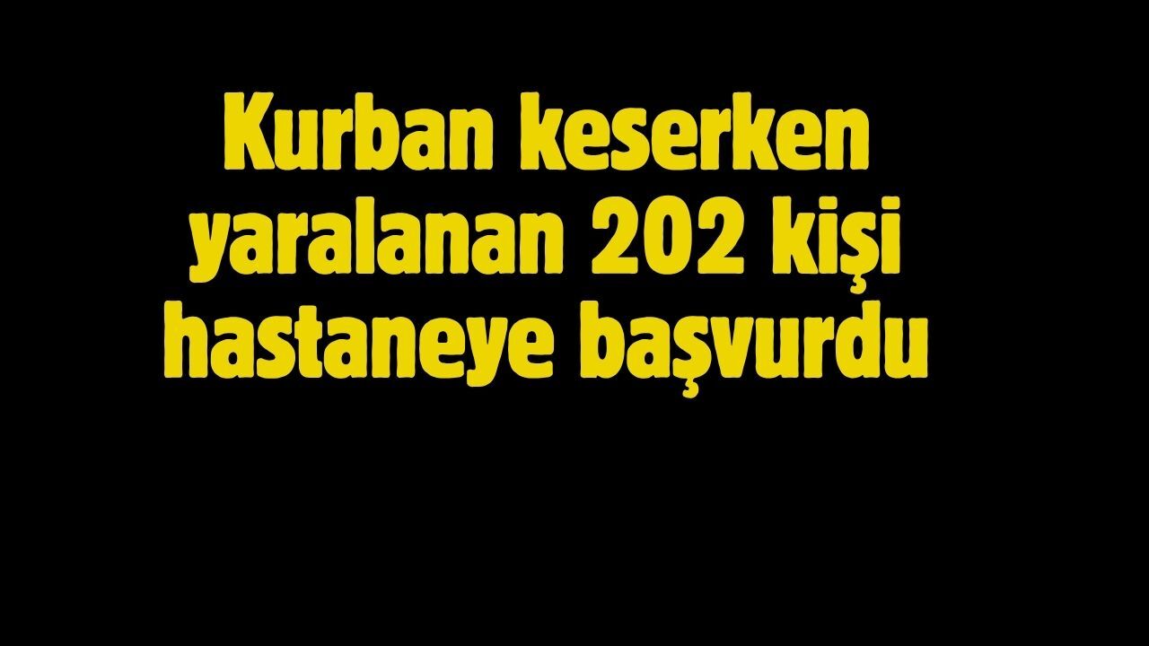 Kurban keserken yaralanan 202 kişi hastaneye başvurdu