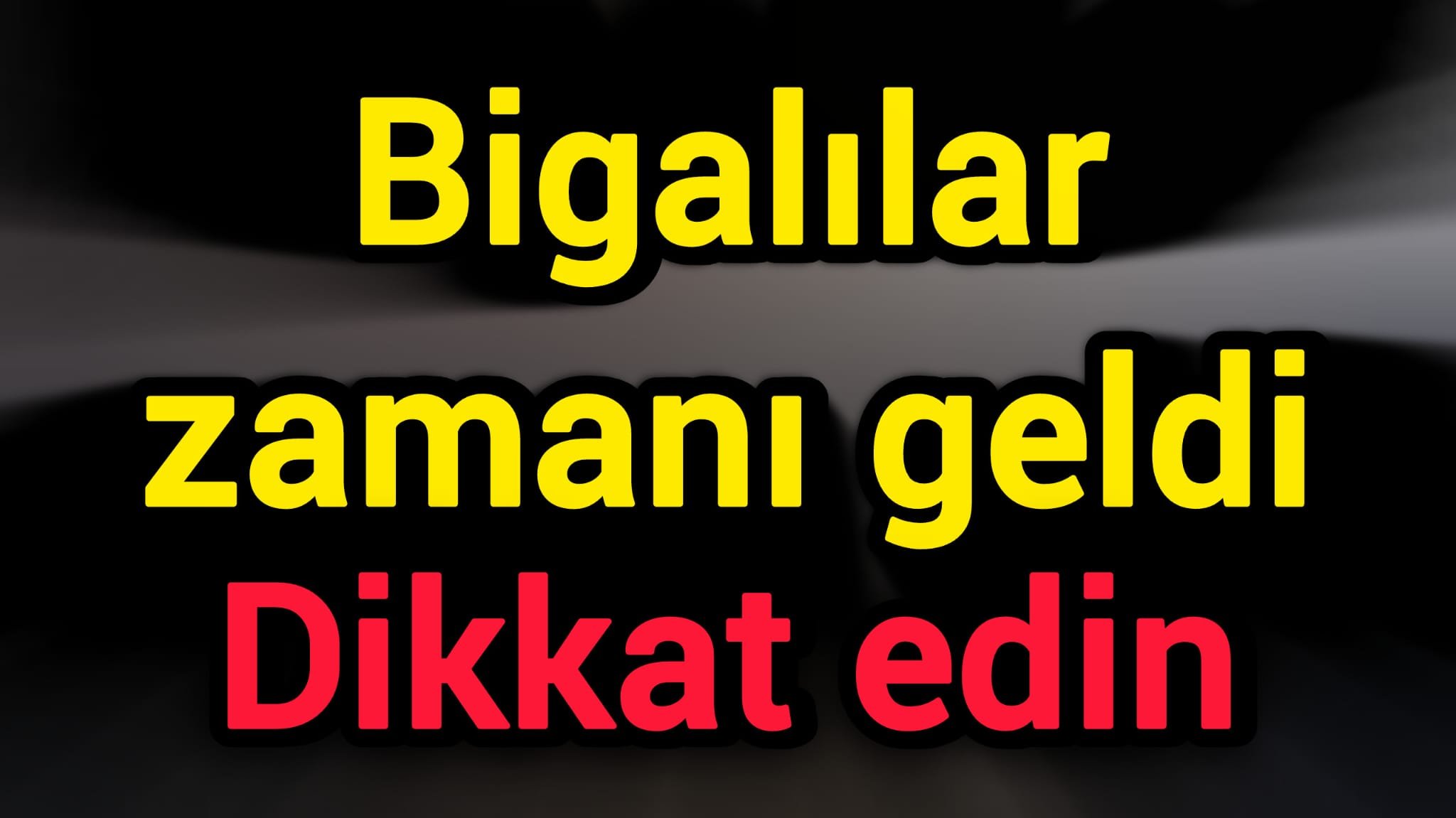 Bigalılar zamanı geldi: Dikkat edin