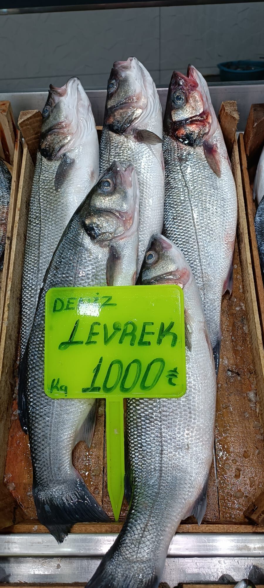 8858923D 496C 461A 8Cc1 99749063De57