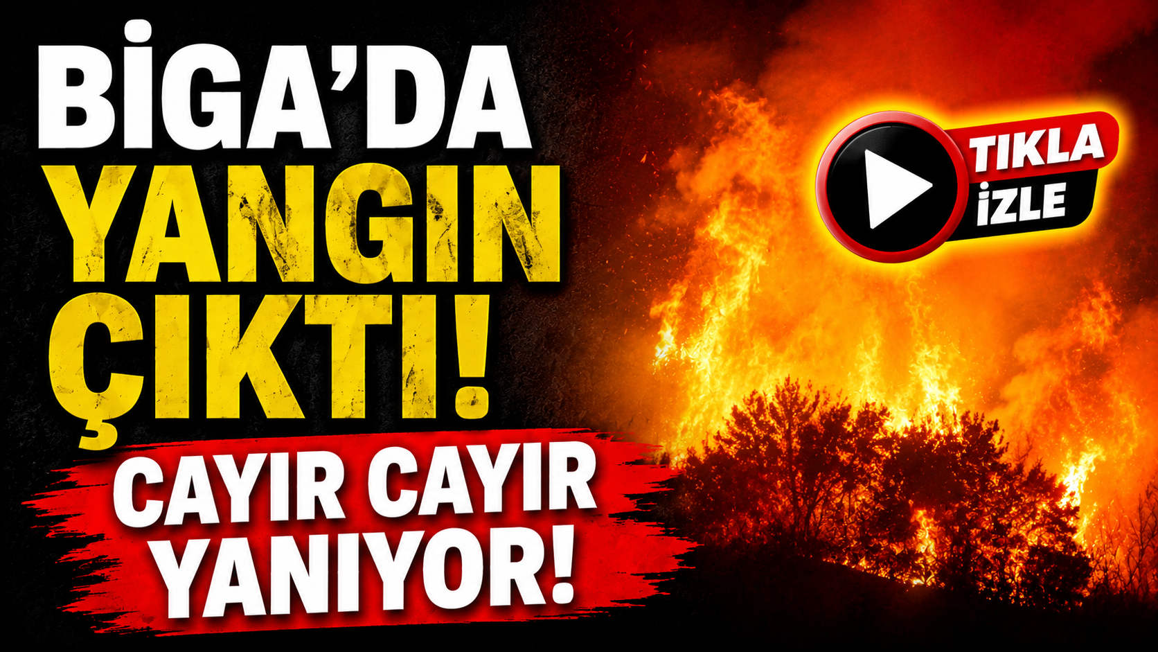 Biga’da alevler tarlayı sardı!