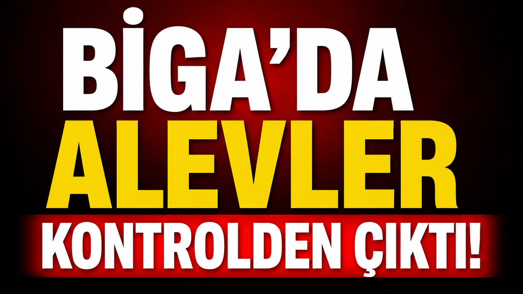 Biga’da alevler kontrolden çıktı!
