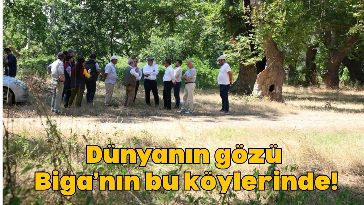Dünyanın Gözü Biga'nın Bu Köylerinde!