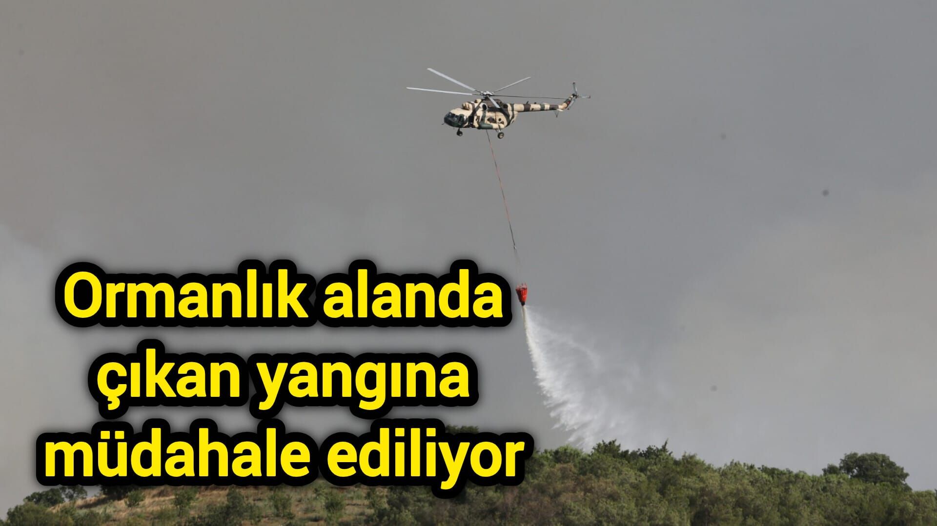 Ormanlık alanda çıkan yangına müdahale ediliyor