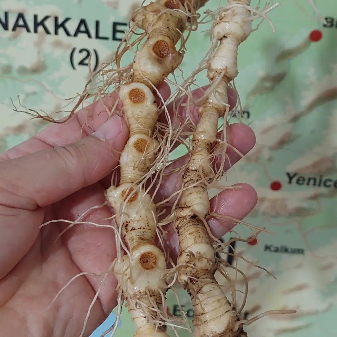Whatsapp Image 2026 07 14 At 11.30.20 (2)