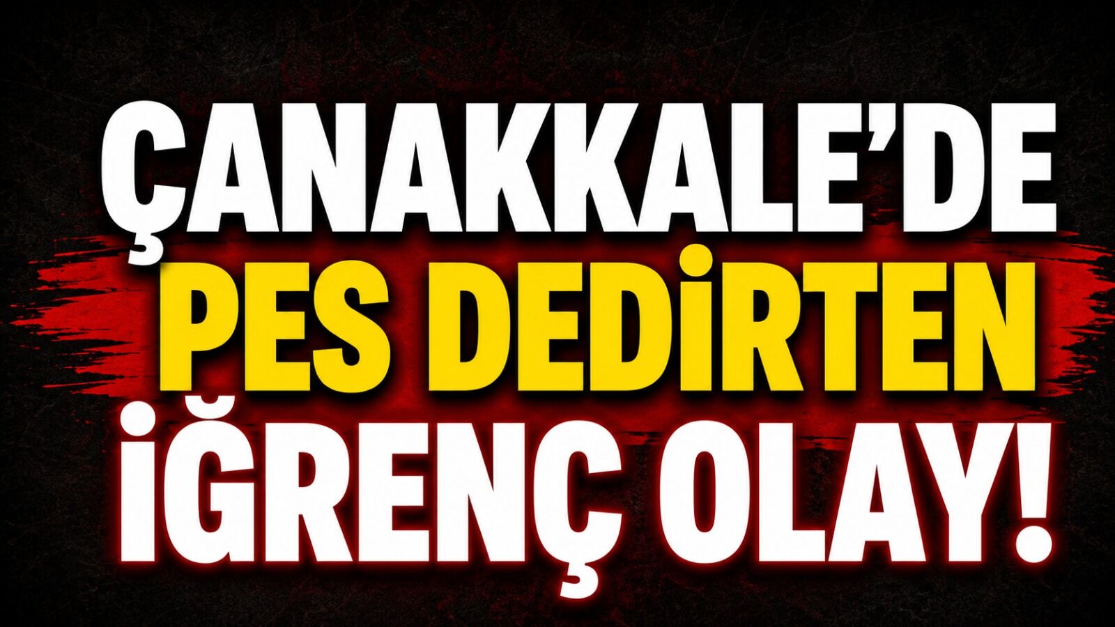 Çanakkale'de pes dedirten iğrenç olay!