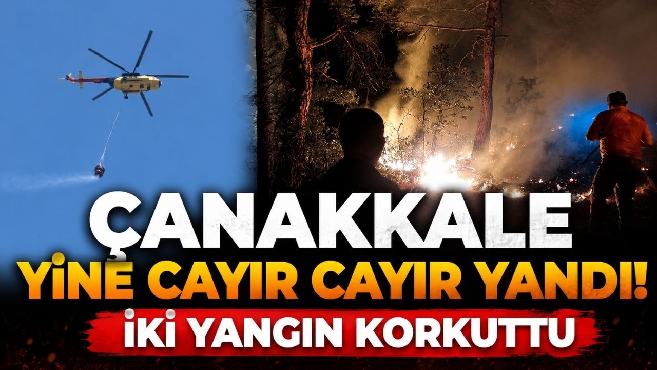 Çanakkale Yine Cayır Cayır Yandı! İki Yangın Korkuttu