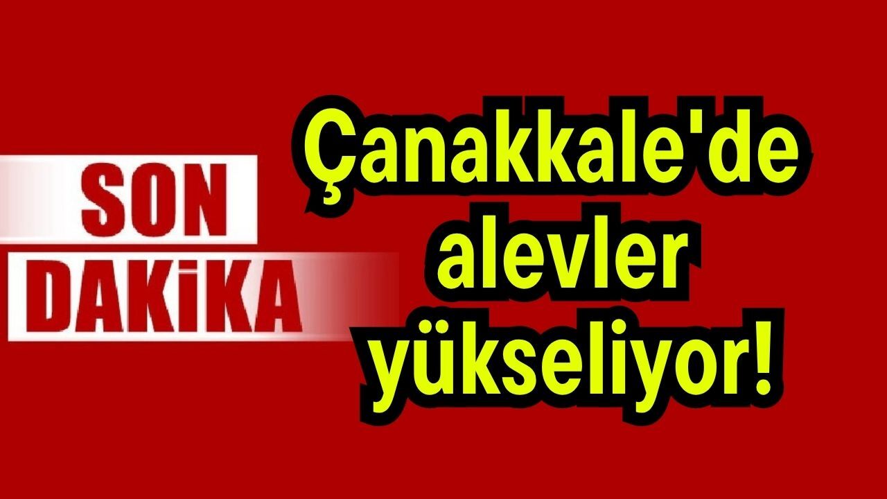 Çanakkale'de alevler yükseliyor!
