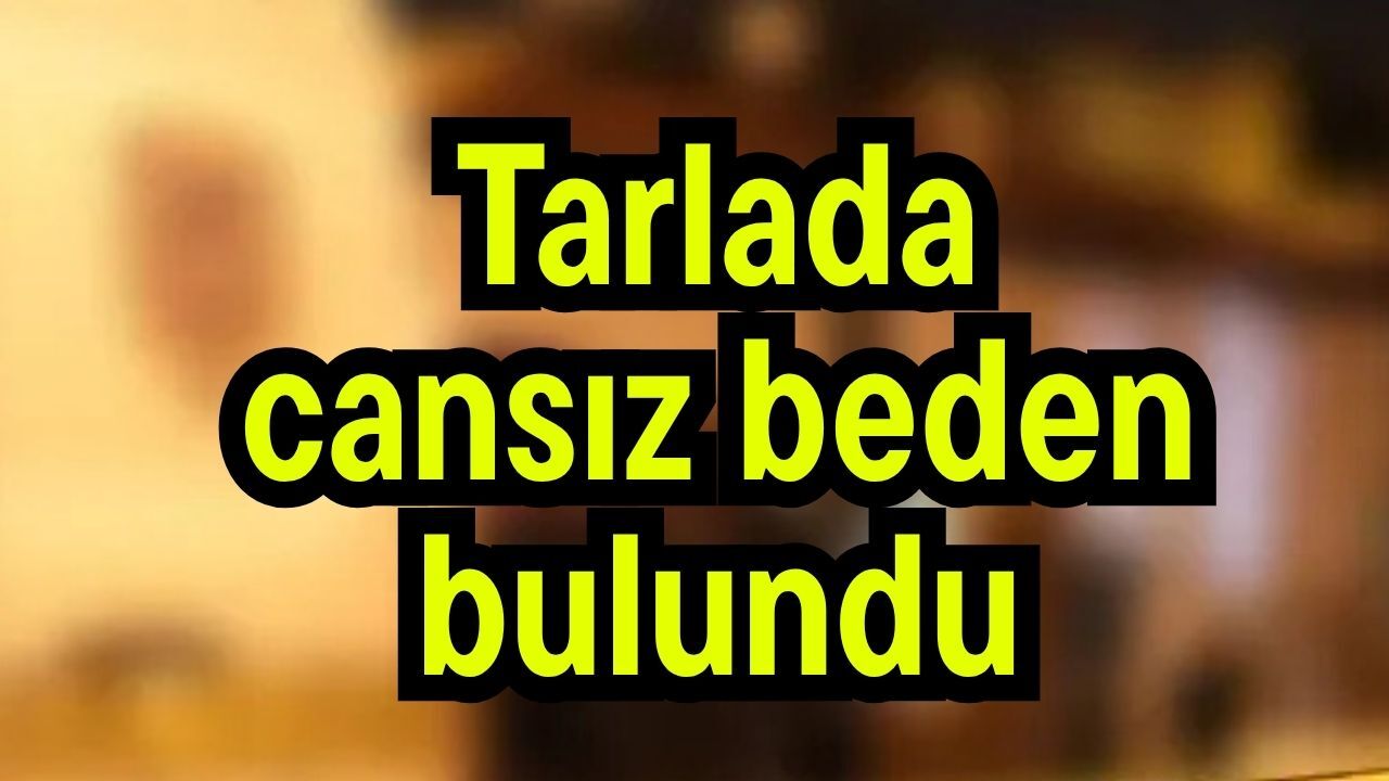 Tarlada cansız beden bulundu