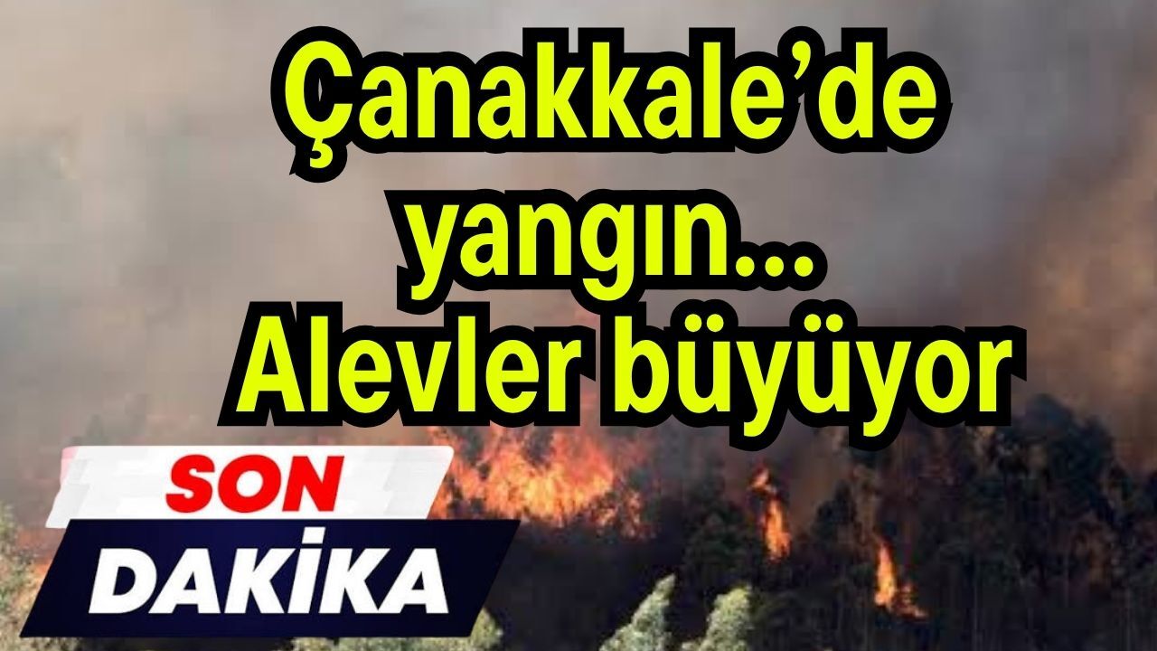 Çanakkale’de yangın… Alevler büyüyor
