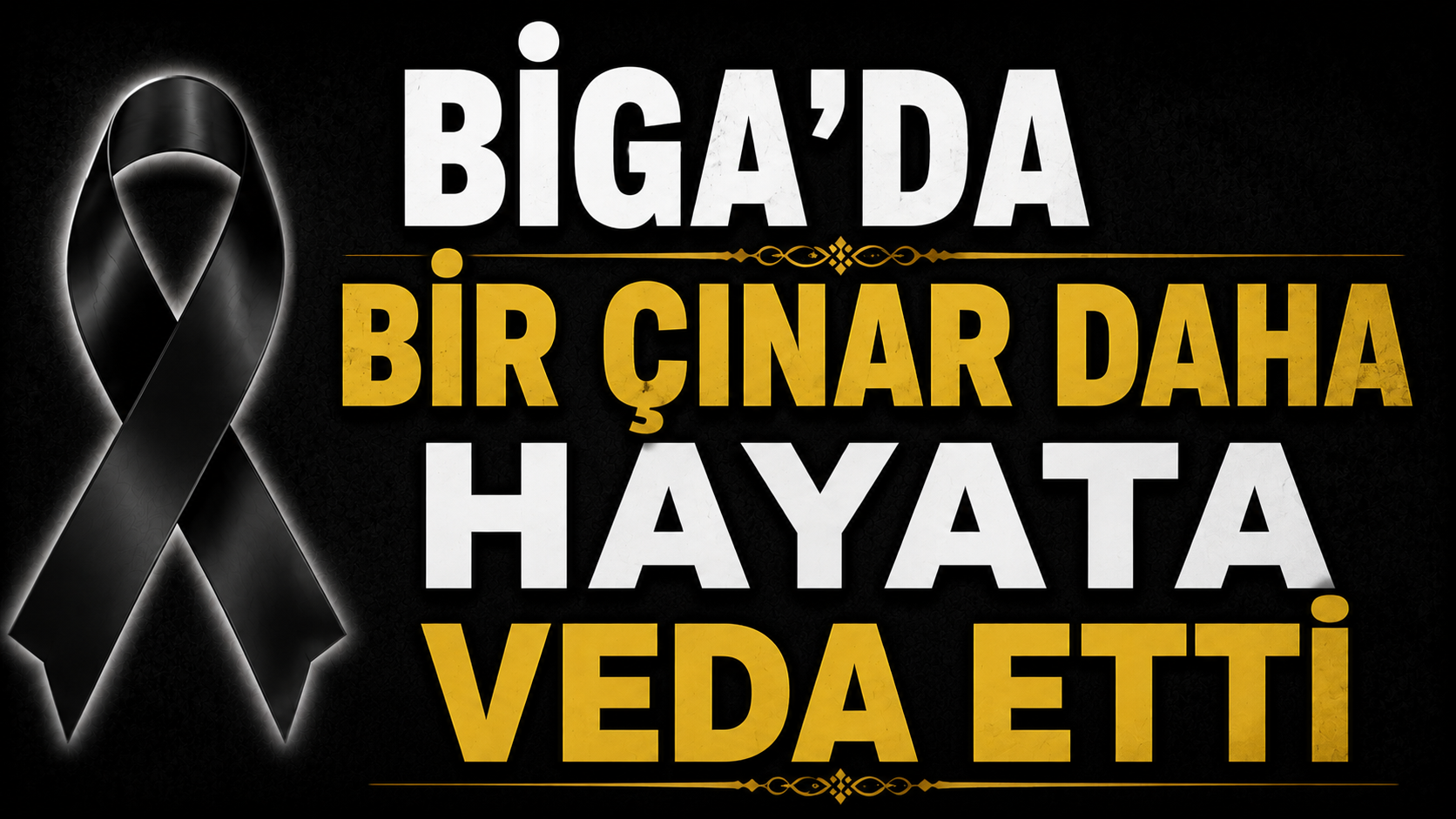 Biga’da bir çınar daha hayata veda etti
