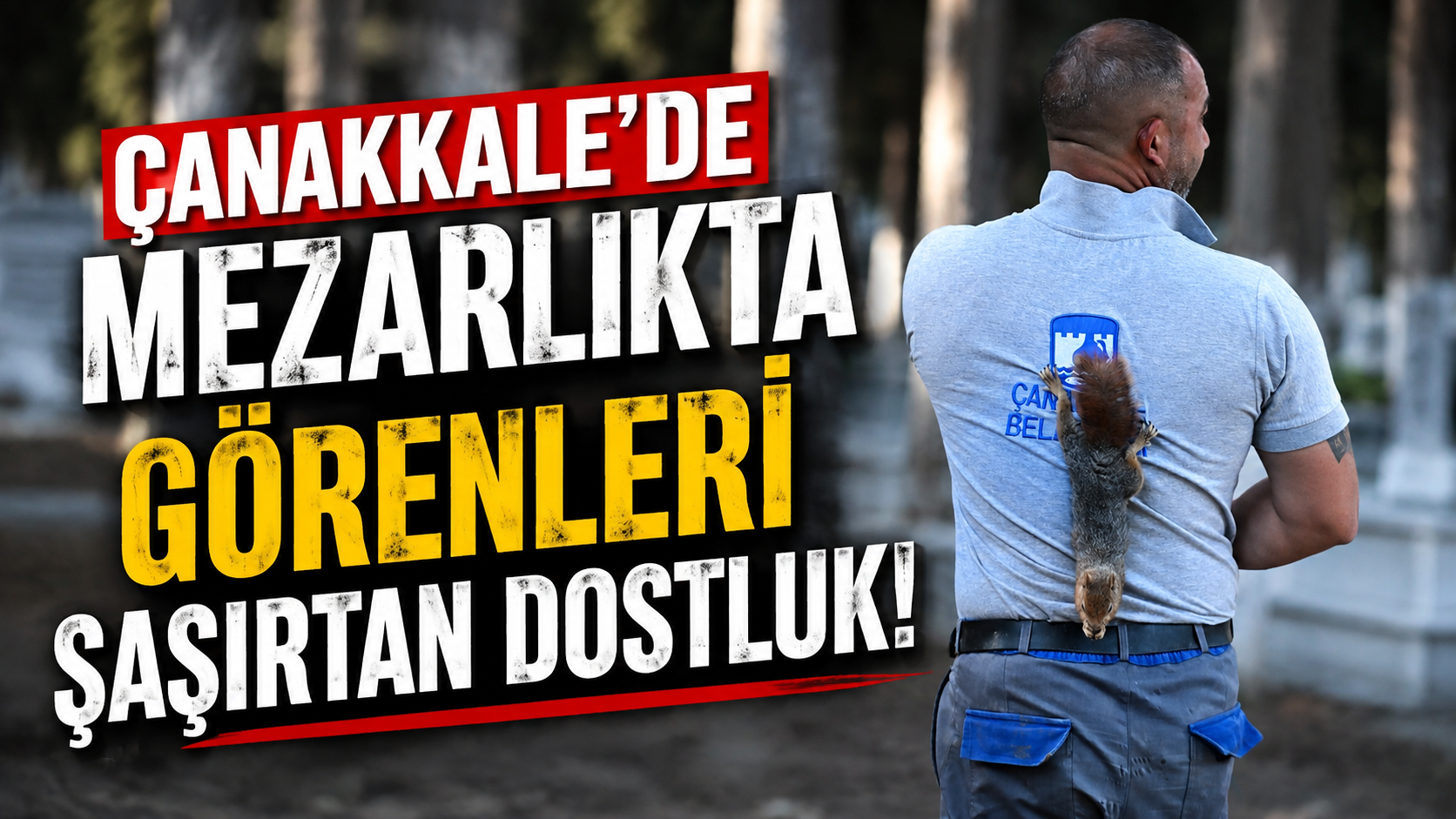 Çanakkale’de mezarlıkta görenleri şaşırtan dostluk!