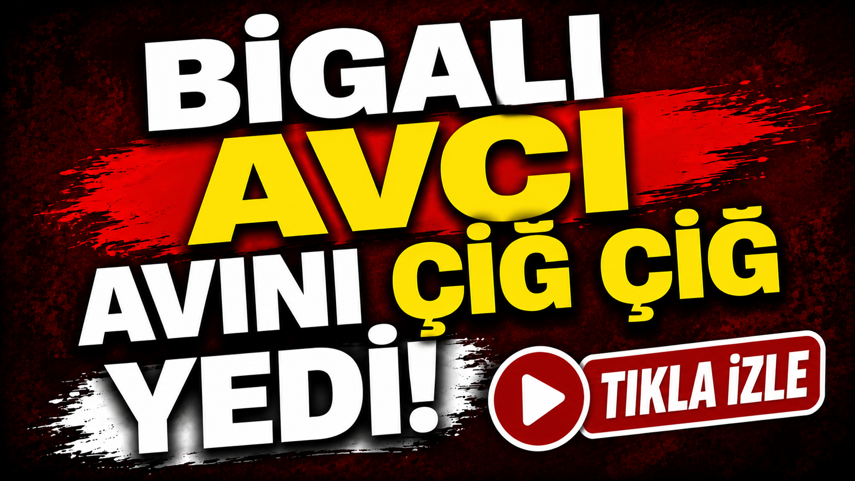 Bigalı avcı avını çiğ çiğ yedi!