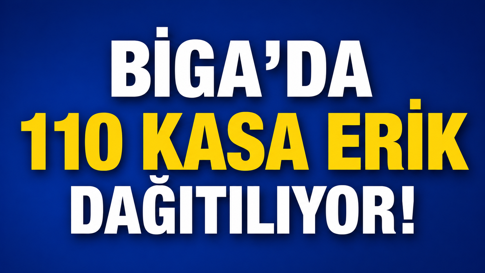 Biga’da 110 kasa erik dağıtılıyor!