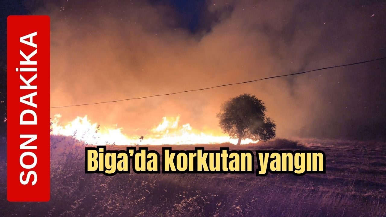 Son Dakika! Biga'da korkutan yangın