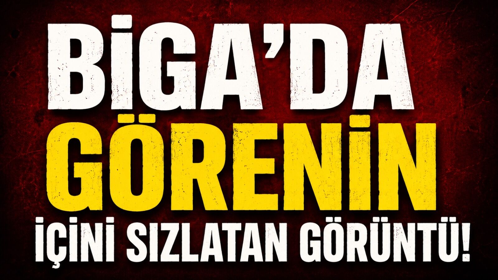 Biga'da görenin içini sızlatan görüntü!