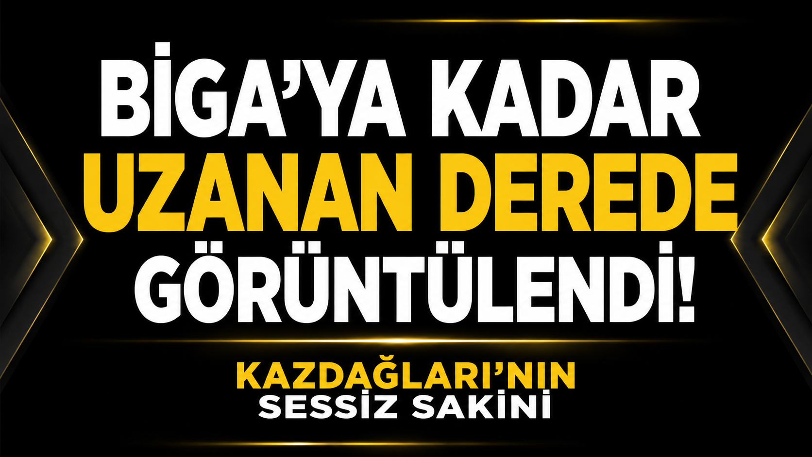Biga’ya kadar uzanan derede görüntülendi! Kazdağları’nın sessiz sakini
