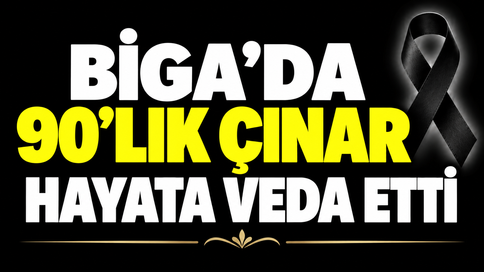 Biga’da 90’lık çınar hayata veda etti