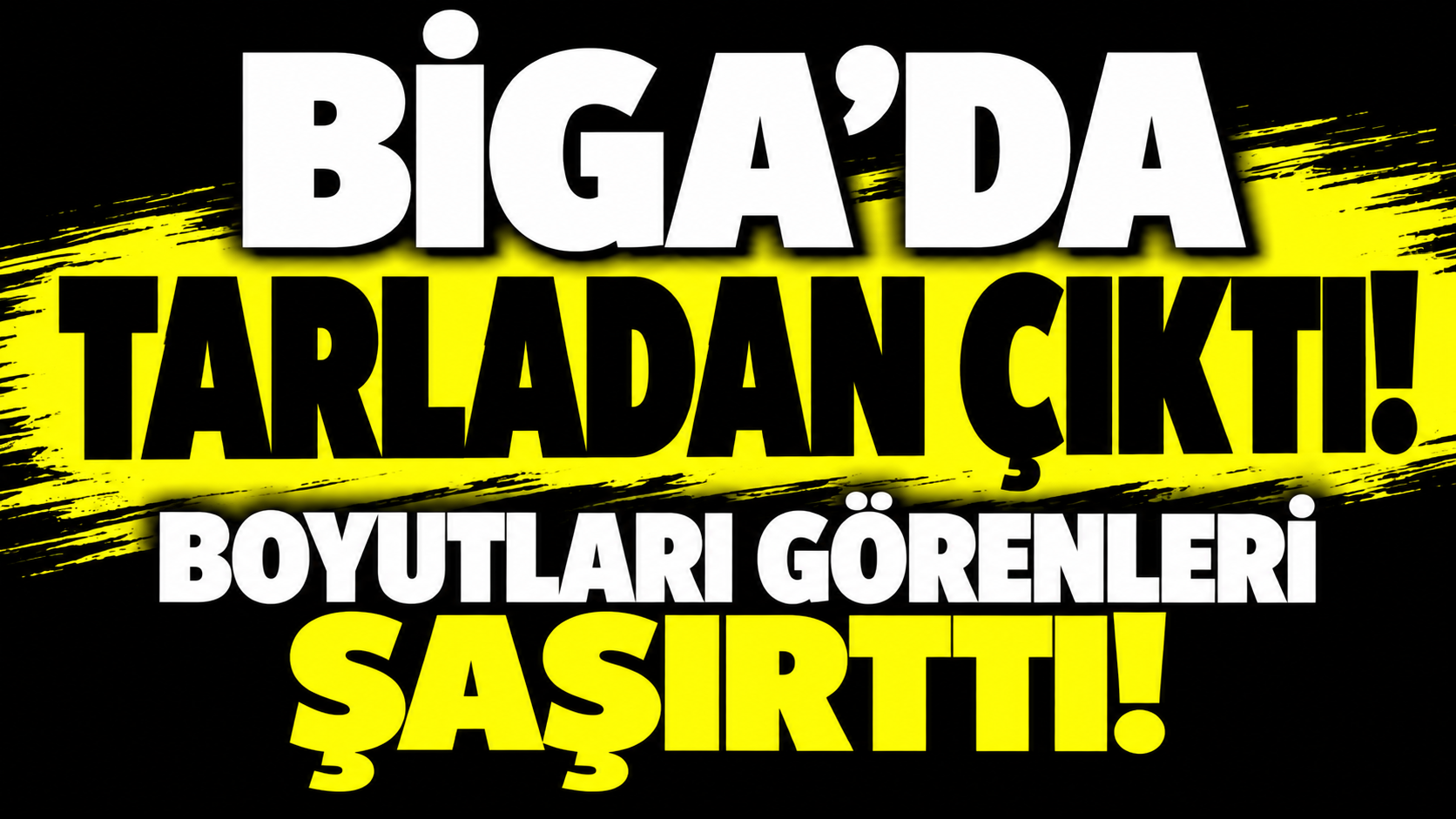 Biga’da tarladan çıktı! Boyutları görenleri şaşırttı
